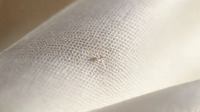 Photorealistic, professional photography, 8K, cinematic lighting, sharp focus, depth of field, shot on a high-end DSLR. A close-up, macro shot of a luxurious silk fabric, revealing incredibly fine, almost invisible irregularities in the weave and a single, minute broken thread. The lighting highlights the texture and the subtle flaw, conveying precision and the difficulty of detection.