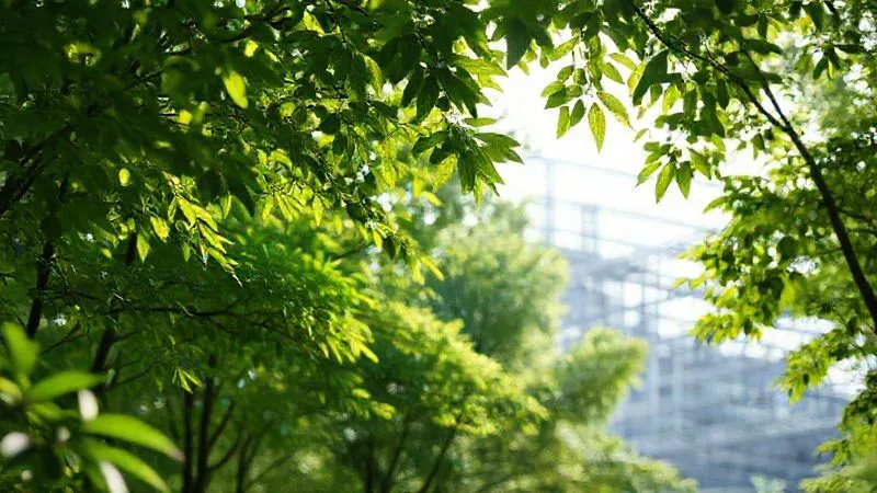 A photorealistic, professional photography shot of a vibrant green forest canopy juxtaposed with subtle, clean lines of a modern textile facility in the background, symbolizing harmony between nature and sustainable industry. The image captures the delicate balance, with soft, natural light filtering through leaves and a slight mist. 8K, cinematic lighting, sharp focus on the foreground elements, depth of field blurring the background, shot on a high-end DSLR.
