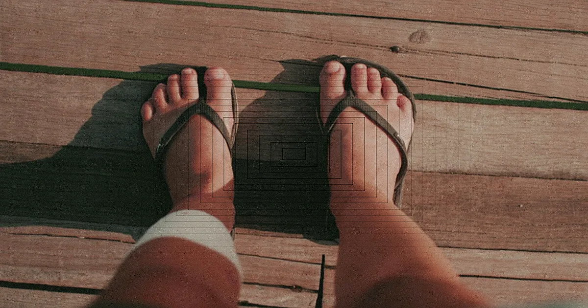 Stylish white sandals and belt elegantly arranged on lush green fern leaves, ideal for fashion-forward displays. — Foto: Denys Mikhalevych / Pexels